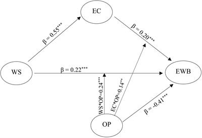 Role of Workplace Spirituality, Empathic Concern and Organizational Politics in Employee Wellbeing: A Study on Police Personnel